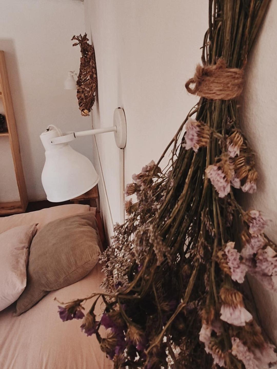 הומאהואקה Mestiza Hostal מראה חיצוני תמונה