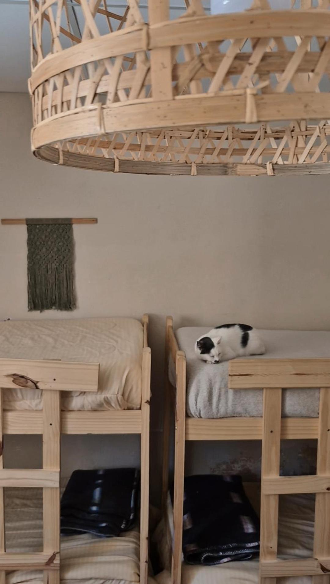 הומאהואקה Mestiza Hostal מראה חיצוני תמונה
